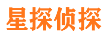 谢家集市侦探调查公司